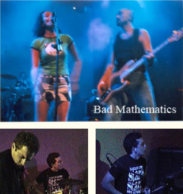 bad_mathematics_press